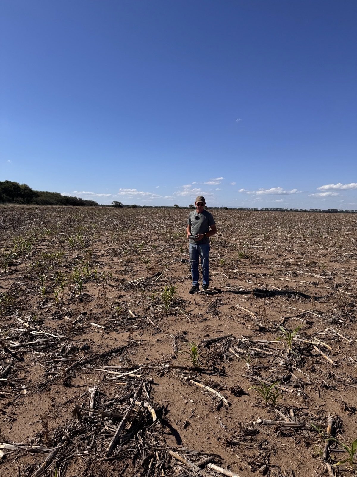 Rodrigo Becerra evaluando un lote de maíz en el campo